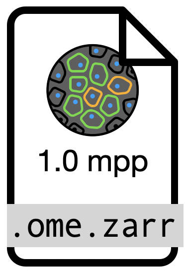 Multiplex Images