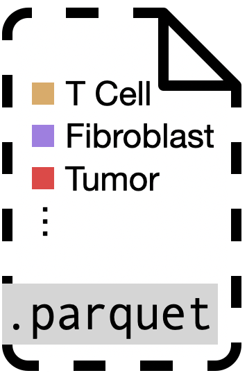 Cell Types
